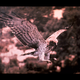 Image for article titled This awesome image may be found by aliens one day, floating in space
